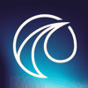 Wayve AI logo